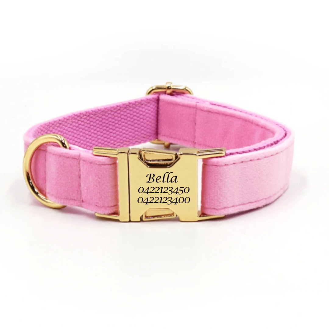 Luxury Velvet Dog Collar - Engraved - Pet ID Tags