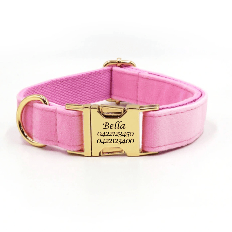 Luxury Velvet Dog Collar - Engraved - Pet ID Tags