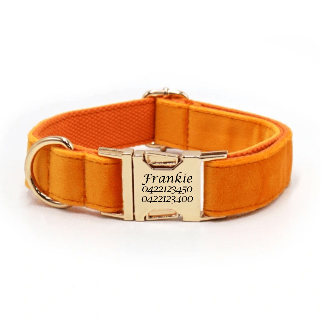 Luxury Velvet Dog Collar - Engraved - Pet ID Tags
