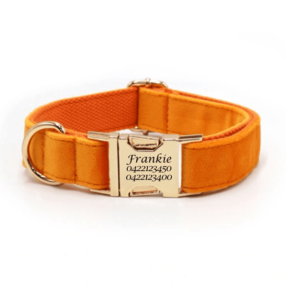 Luxury Velvet Dog Collar - Engraved - Pet ID Tags
