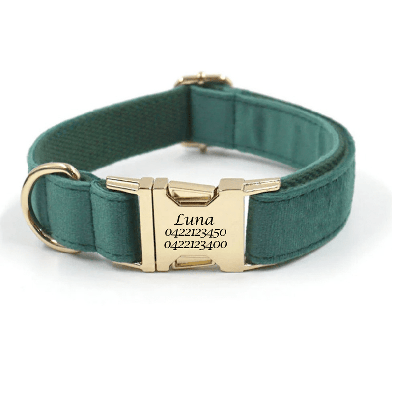 Luxury Velvet Dog Collar - Engraved - Pet ID Tags
