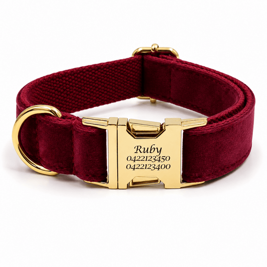 A personalized burgundy velvet dog collar with a gold-tone metal buckle engraved with the name 'Ruby' and numbers, shown on a white background.