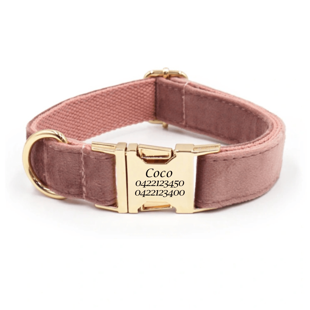 Luxury Velvet Dog Collar - Engraved - Pet ID Tags