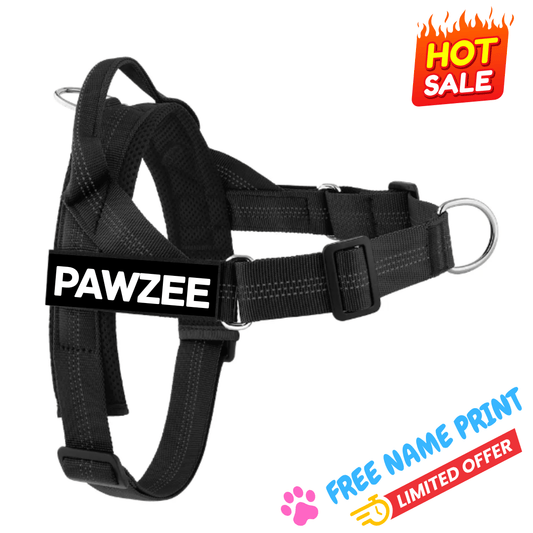 Personalised Black Dog Harness - Comfy, Custom & Cute - Pet ID Tags
