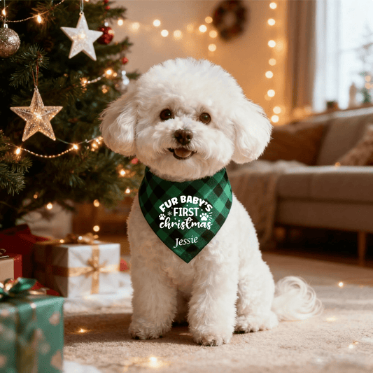 Personalised Christmas Dog Bandana - Pet ID Tags