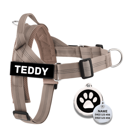Personalised Dog Harness and ID Tag Combo - Pet ID Tags