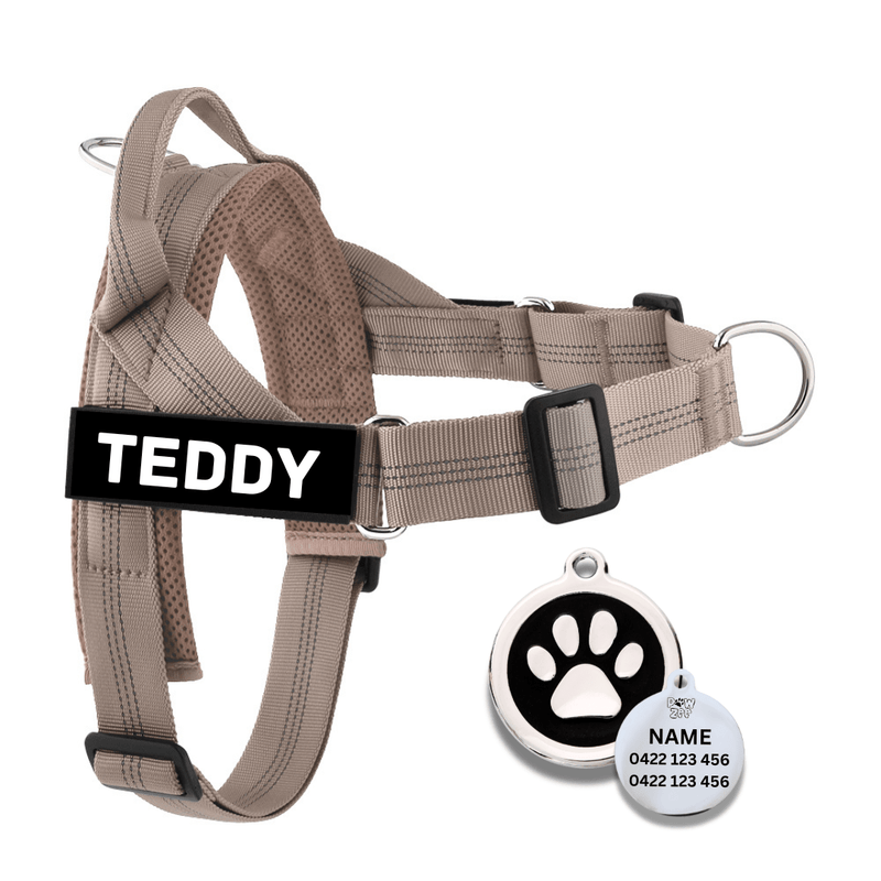 Personalised Dog Harness and ID Tag Combo - Pet ID Tags