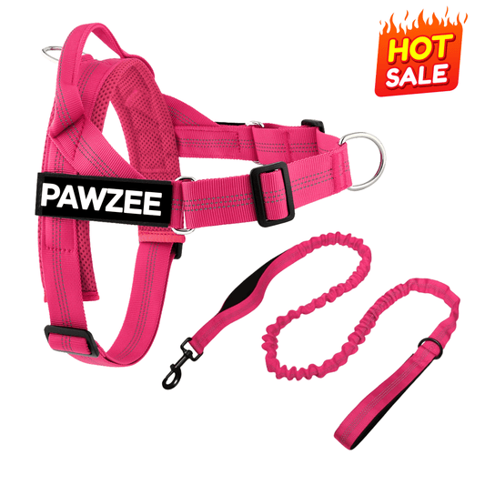 Personalised Dog Harness & Lead Set - Pet ID Tags