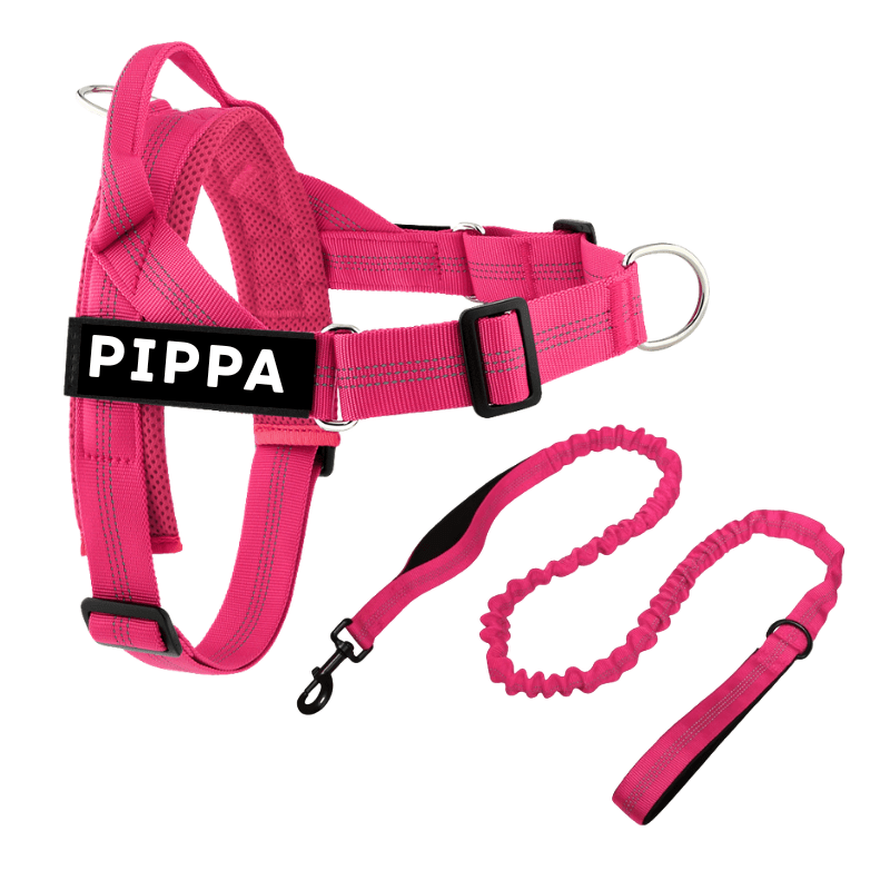 Personalised Dog Harness & Lead Set - Pet ID Tags