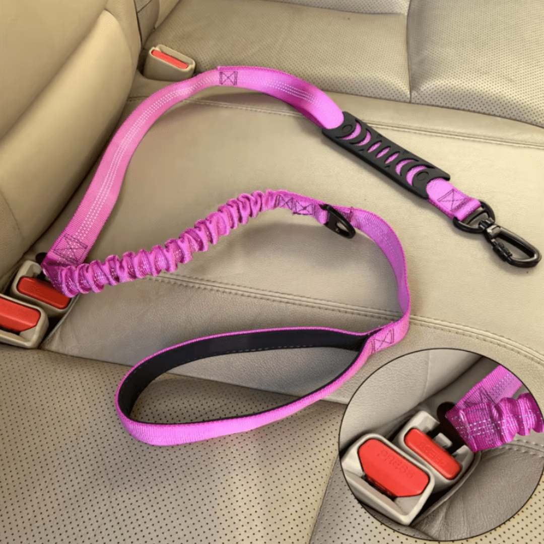 Personalised Dog Harness & Lead Set with Car Seat Belt Bundle - Pet ID Tags