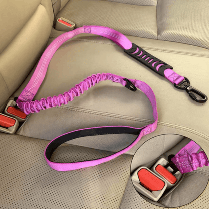 Personalised Dog Harness & Lead Set with Car Seat Belt Bundle - Pet ID Tags