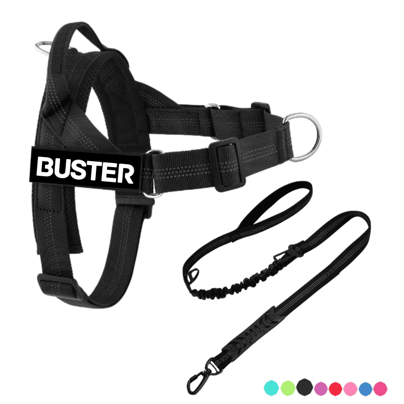 Personalised Dog Harness & Lead Set with Car Seat Belt Bundle - Pet ID Tags