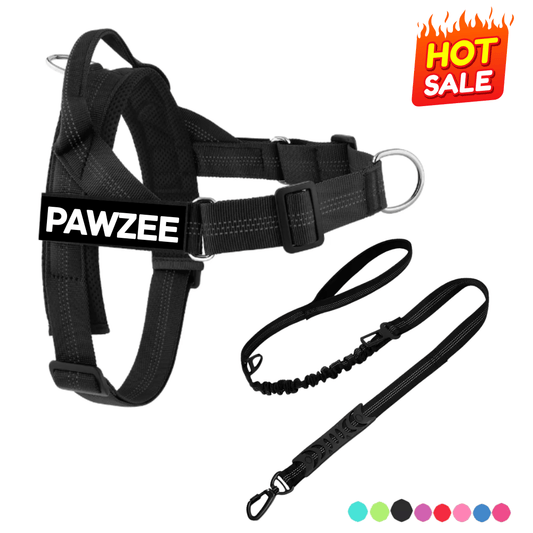 Personalised Dog Harness & Lead Set with Car Seat Belt Bundle - Pet ID Tags
