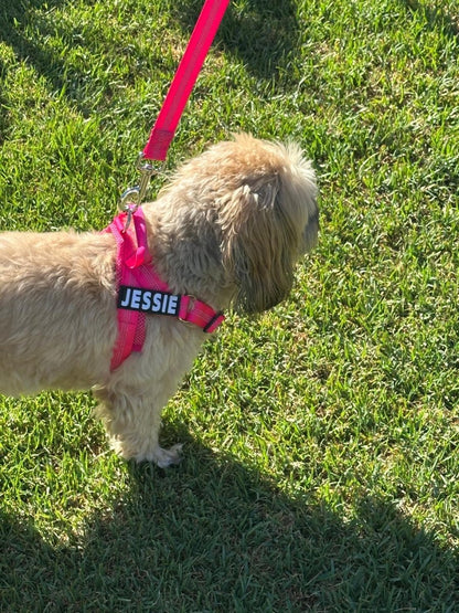 Personalised No - Pull Dog Harness with Reflective Straps - PINK - Pet ID Tags