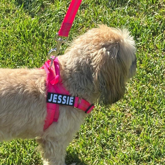 Personalised No - Pull Dog Harness with Reflective Straps - PINK - Pet ID Tags
