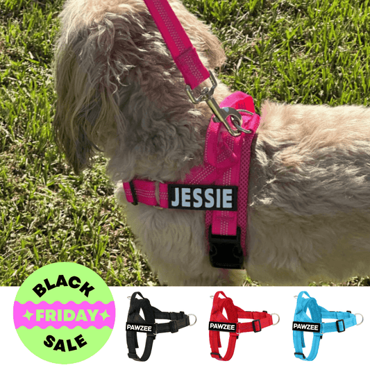 Personalised No - Pull Dog Harness with Reflective Straps - PINK - Pet ID Tags