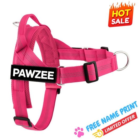 Personalised Pink Dog Harness – Comfy, Custom & Cute - Pet ID Tags