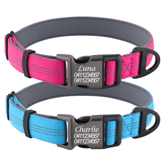 Personalised Reflective Dog Collar – Custom Safety Collar with Soft Padding Australia - Pet ID Tags