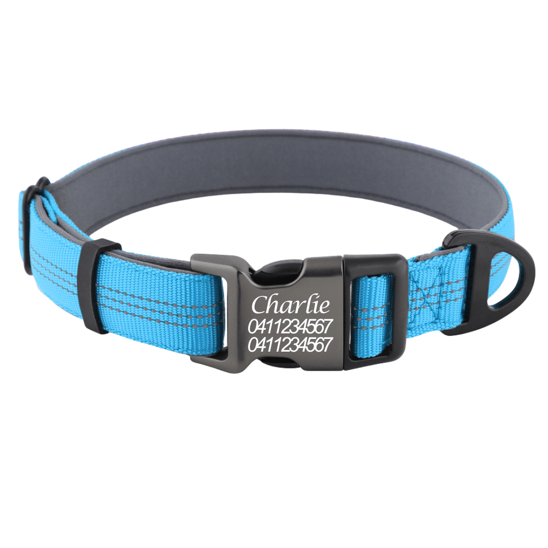Personalised Reflective Dog Collar – Custom Safety Collar with Soft Padding Australia - Pet ID Tags