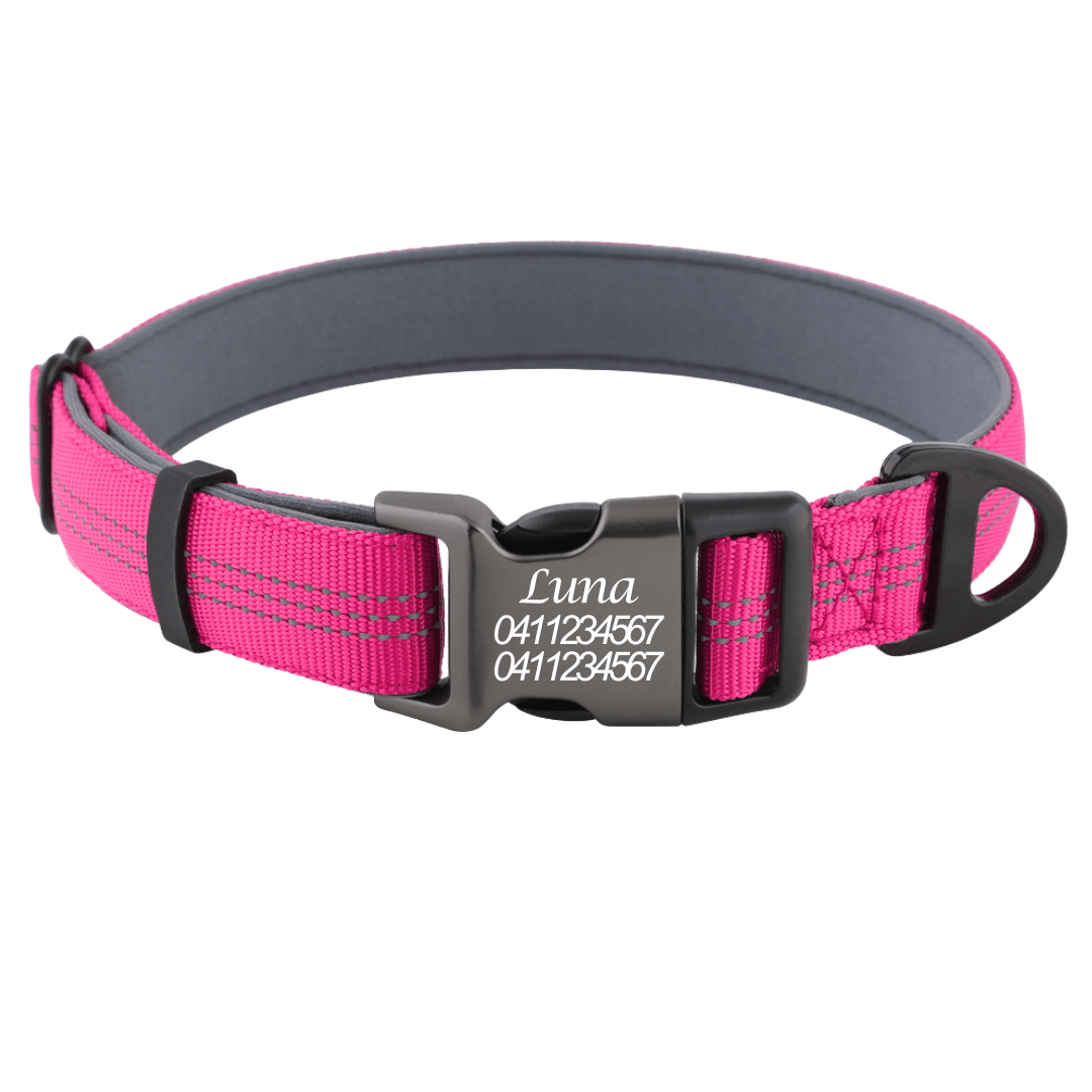 Personalised reflective dog collar with soft padding and adjustable strap in Australia