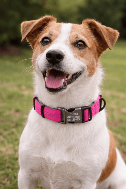 Personalised Reflective Dog Collar – Custom Safety Collar with Soft Padding Australia - Pet ID Tags