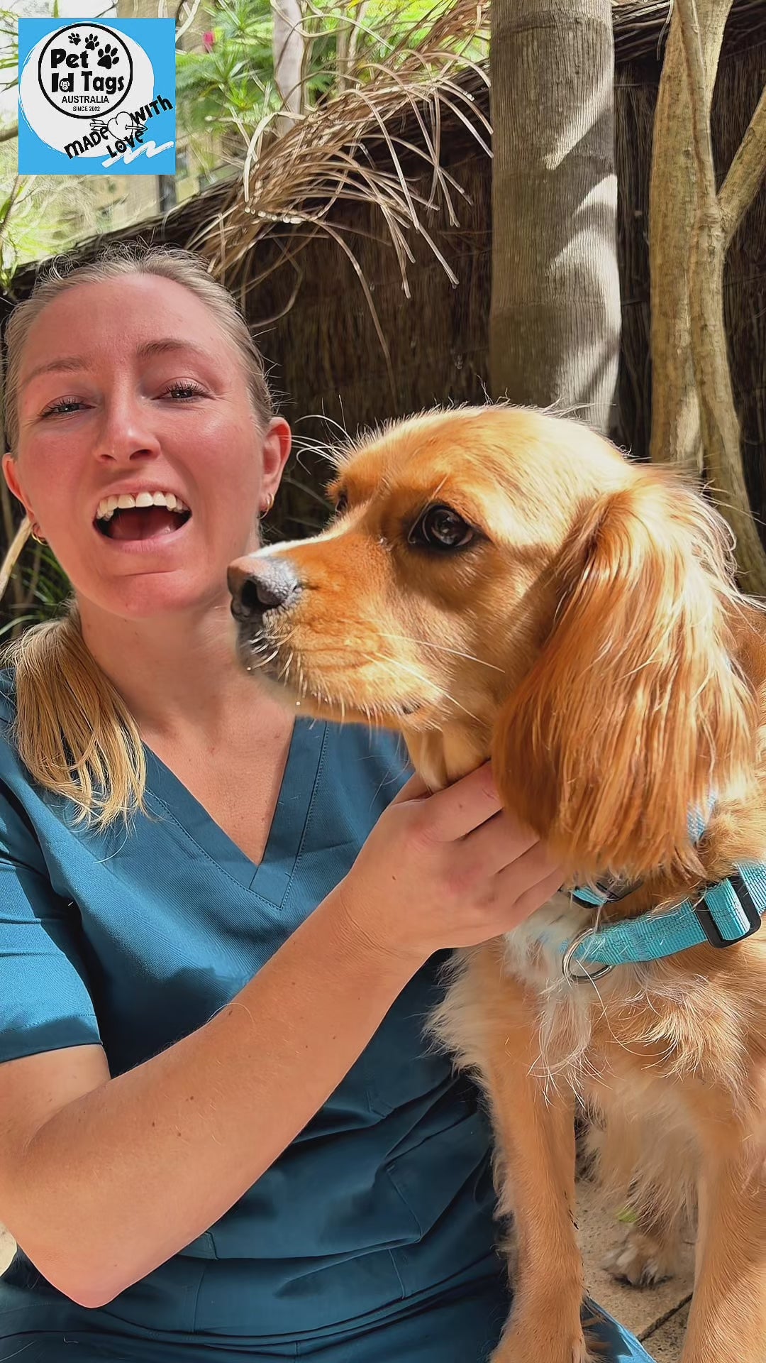 a video on reflective dog collars