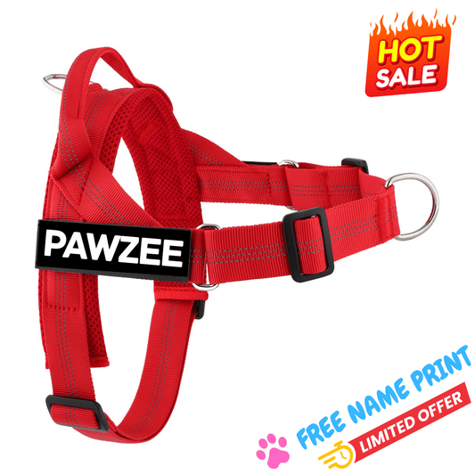 RED Personalised Dog Harness - Comfy, Custom & Cute - Pet ID Tags