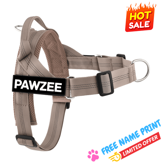 Tan Personalised Dog Harness - Comfy, Custom & Cute - Pet ID Tags