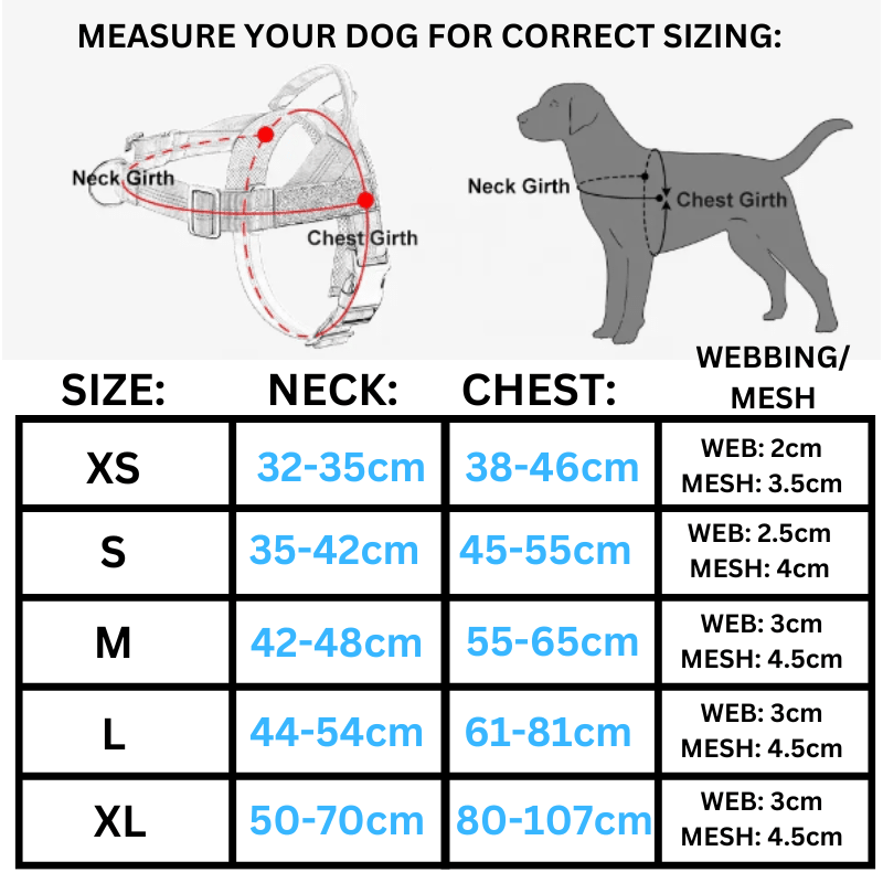 TEAL Personalised Dog Harness - Comfy, Custom & Cute - Pet ID Tags