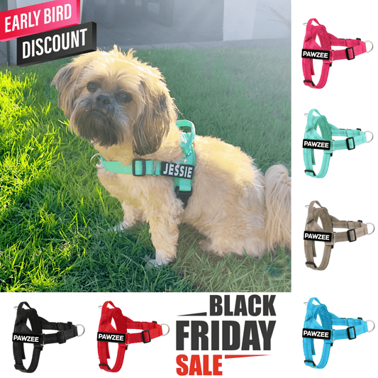 TEAL Personalised Dog Harness - Comfy, Custom & Cute - Pet ID Tags