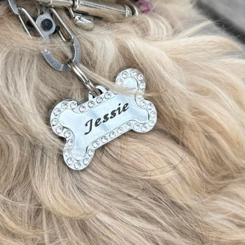 Bling Bone Stainless Steel Dog Tags - Pet ID Tags