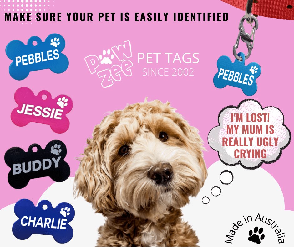 Pawzee Pet Tags in South Australia