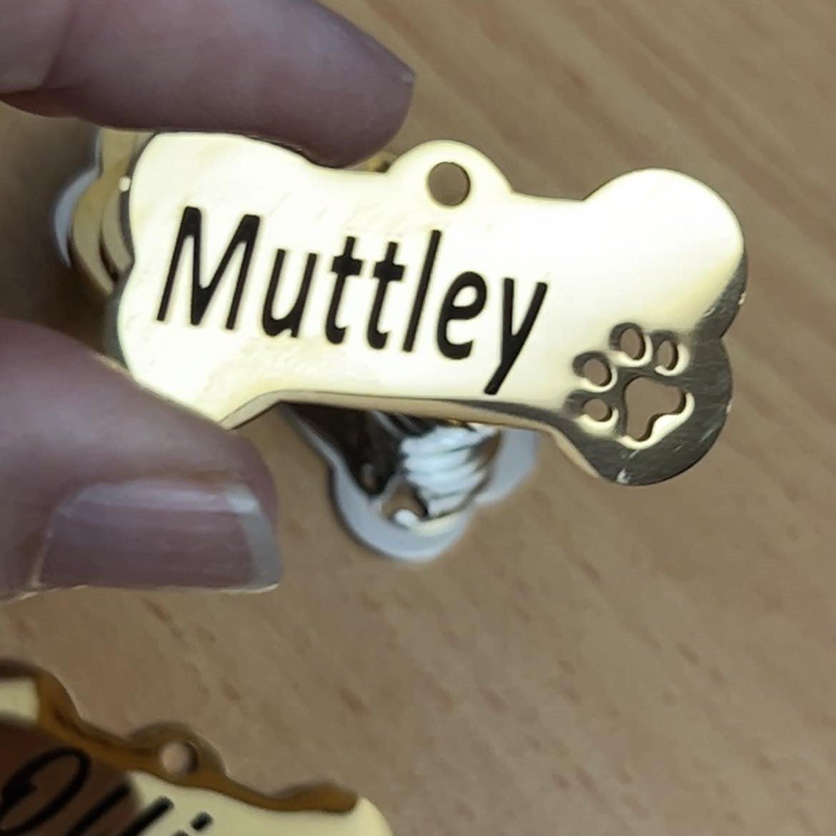 2 FOR $30 Bone Stainless Steel Dog Tags
