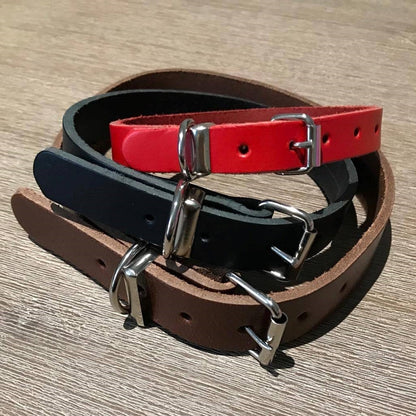 Engraved Leather Dog Collars
