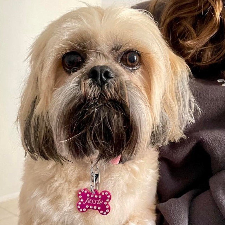 Crystal Bling Engraved Pet ID Tags - Pet ID Tags