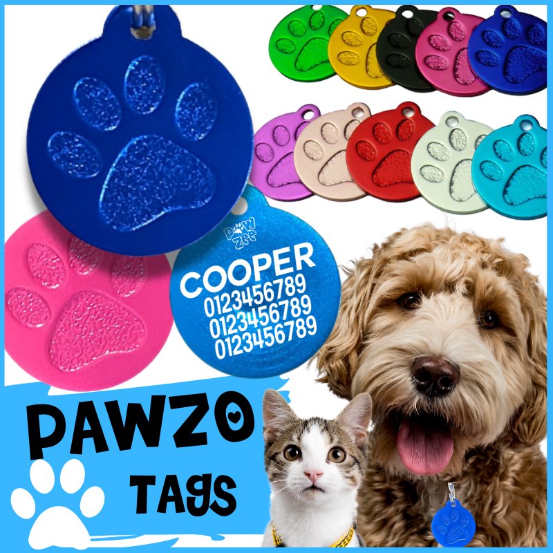 Trendy Pawzo Pet ID Tags