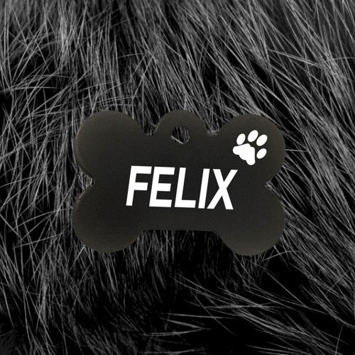 Black Bone Pawzee Light Dog Tags for Pets - Australia - Pet ID Tags
