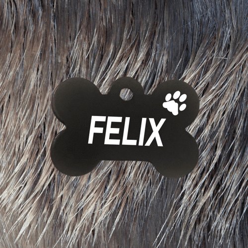 Black Bone Pawzee Light Dog Tags for Pets - Australia - Pet ID Tags