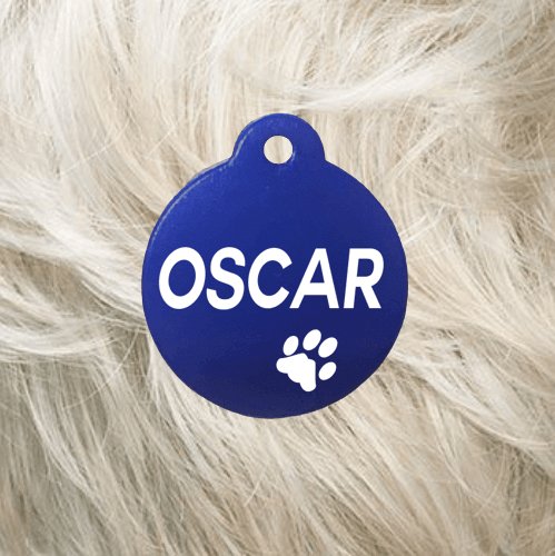 Cat Collar with Pet Tag