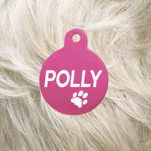 Cat Collar with Pet Tag