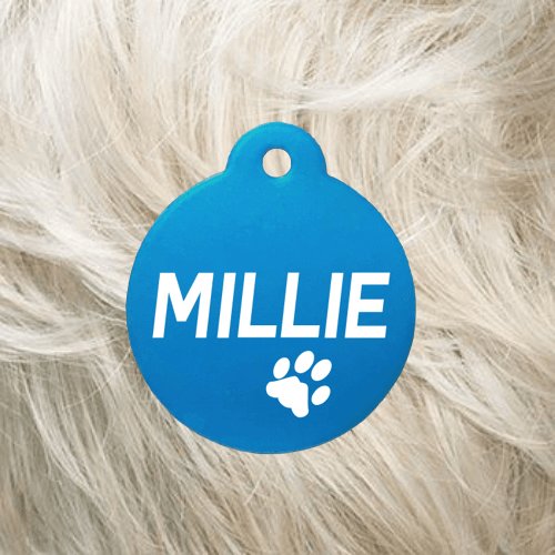 Cat Collar with Pet Tag