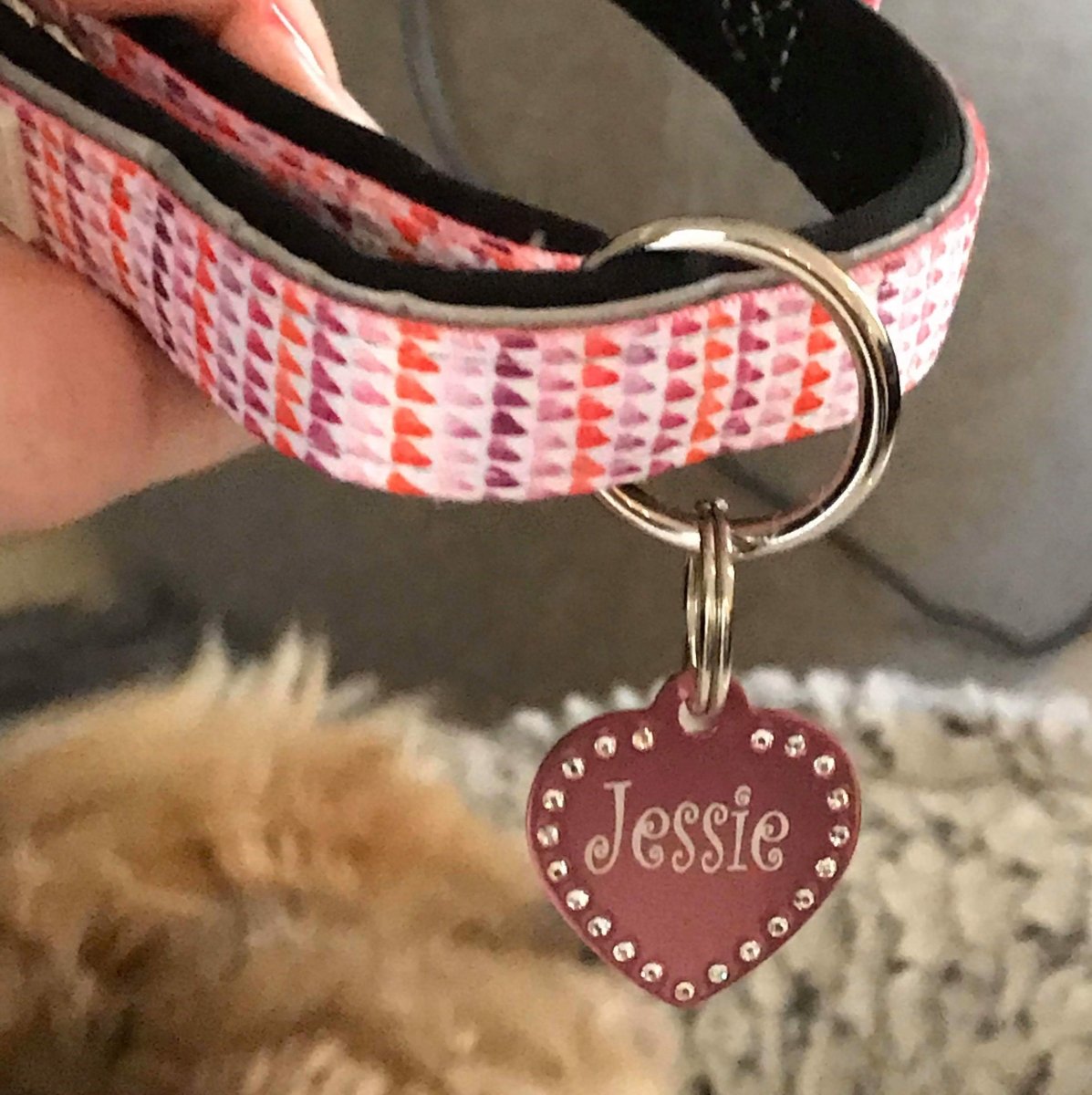 Custom Pet Collars and Tags Made in Australia