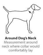 Custom Pet Collars Australia Pet ID Tags 