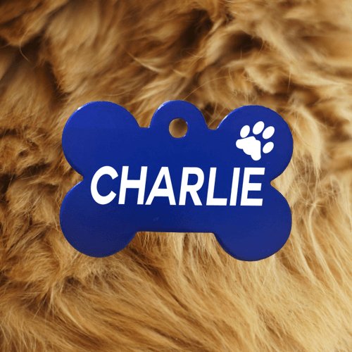 Engraved Dark Blue Bone Pawzee Light Pet Tag - Pet ID Tags