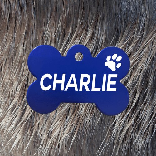 Dark Blue Pawzee Bone Dog Tag