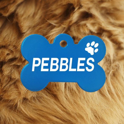 Light Blue Bone Pawzee Pet Tags pawzee Pet ID Tags 