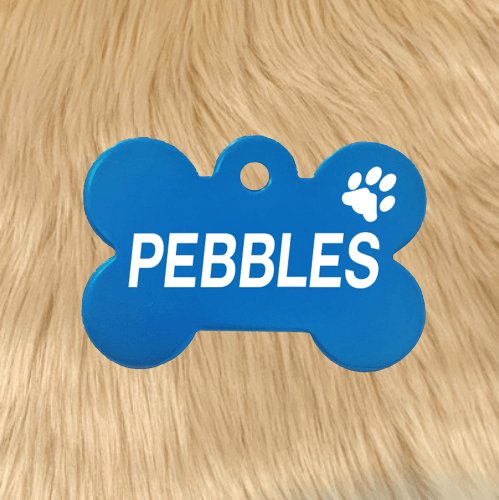 Light Blue Bone Pawzee Pet Tags pawzee Pet ID Tags 