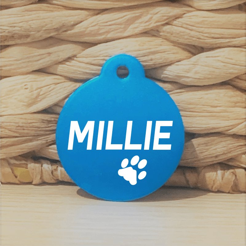 Light Blue Round Pawzee Pet Tags pawzee Pet ID Tags 