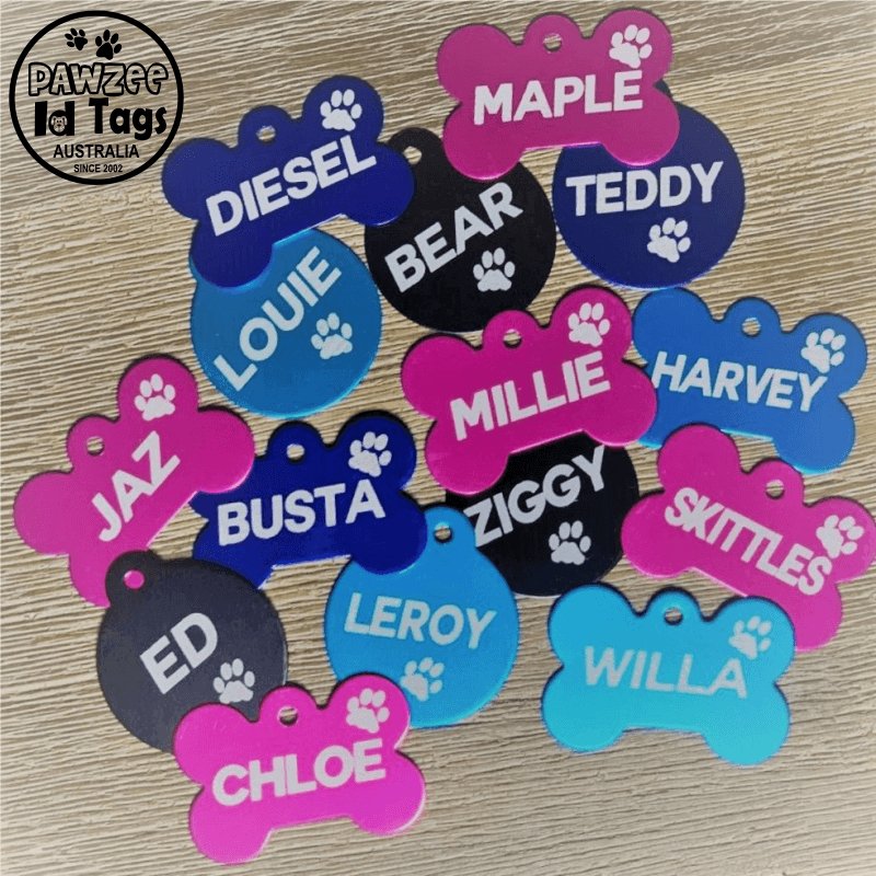 Light Blue Round Pawzee Pet Tags pawzee Pet ID Tags 