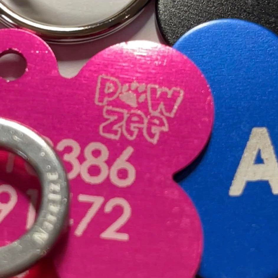 Pink Bone Pawzee Pet Tags